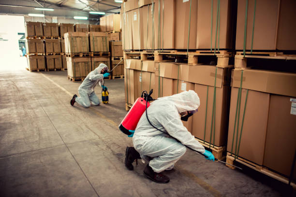 Best Termite Control Services  in Beckley, WV