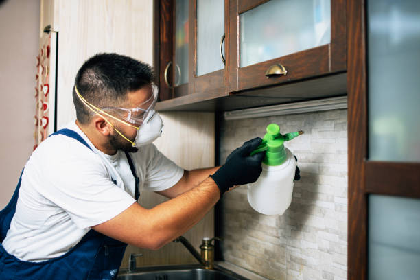 Best Pest Control Near Me in Beckley, WV
