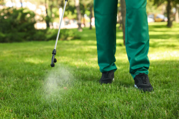 Best Commercial Pest Control Services  in Beckley, WV