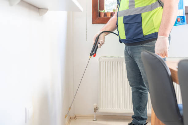 Reliable Beckley, WV Pest Control Solutions